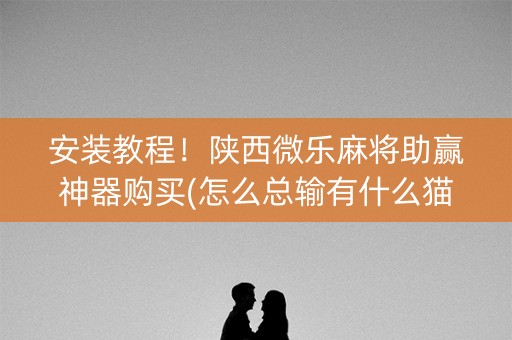 安装教程！陕西微乐麻将助赢神器购买(怎么总输有什么猫腻)
