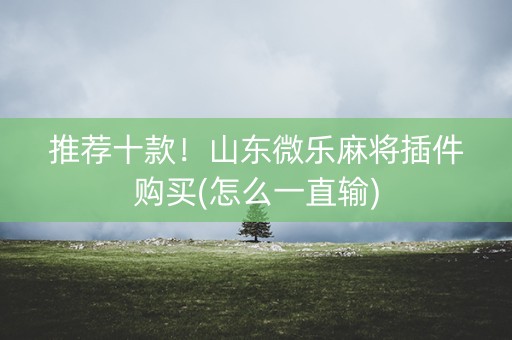推荐十款！山东微乐麻将插件购买(怎么一直输)
