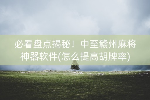 必看盘点揭秘！中至赣州麻将神器软件(怎么提高胡牌率)
