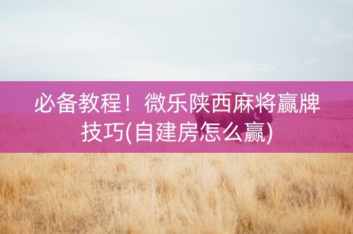 必备教程！微乐陕西麻将赢牌技巧(自建房怎么赢)