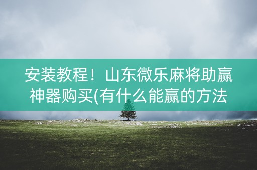 安装教程！山东微乐麻将助赢神器购买(有什么能赢的方法)