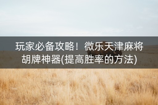 玩家必备攻略！微乐天津麻将胡牌神器(提高胜率的方法)