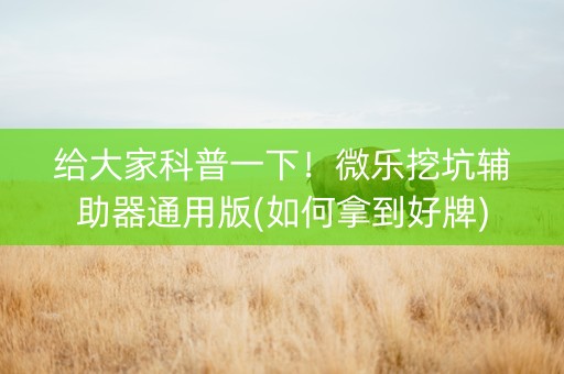 给大家科普一下！微乐挖坑辅助器通用版(如何拿到好牌)