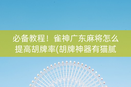 必备教程！雀神广东麻将怎么提高胡牌率(胡牌神器有猫腻吗)