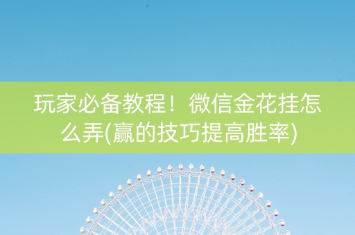 玩家必备教程！微信金花挂怎么弄(赢的技巧提高胜率)
