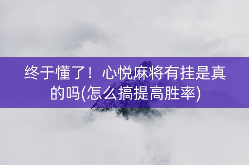 终于懂了！心悦麻将有挂是真的吗(怎么搞提高胜率)