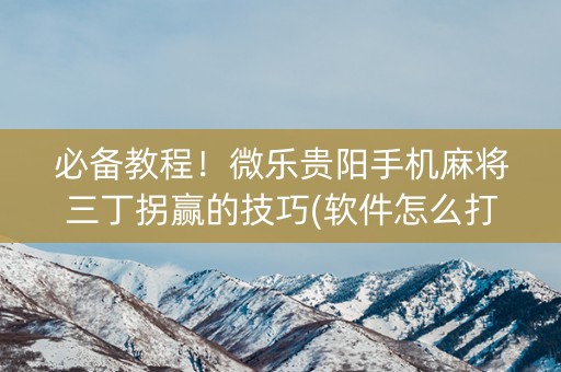 必备教程！微乐贵阳手机麻将三丁拐赢的技巧(软件怎么打赢)