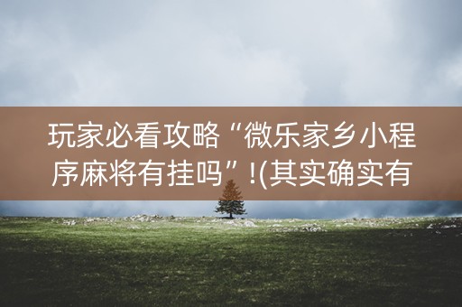 玩家必看攻略“微乐家乡小程序麻将有挂吗”!(其实确实有挂)-知乎