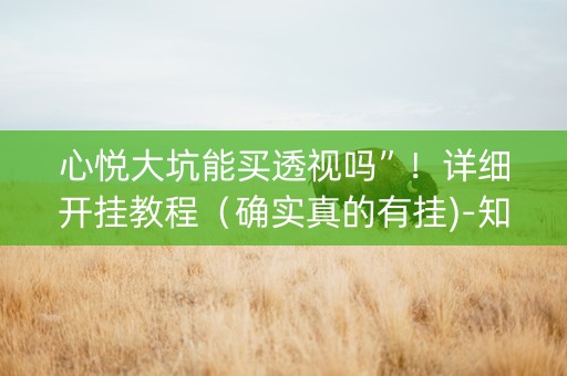 心悦大坑能买透视吗”！详细开挂教程（确实真的有挂)-知乎