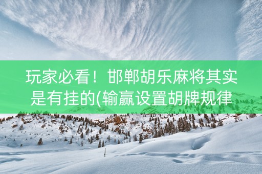 玩家必看！邯郸胡乐麻将其实是有挂的(输赢设置胡牌规律)