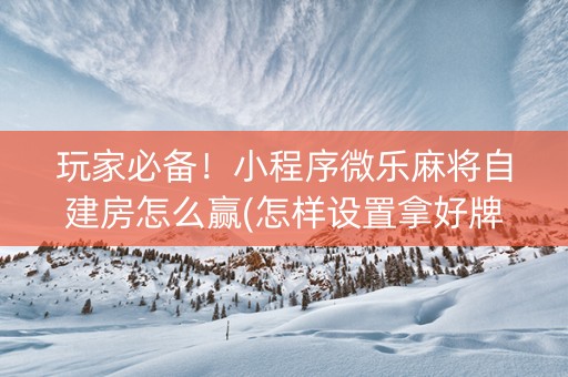 玩家必备！小程序微乐麻将自建房怎么赢(怎样设置拿好牌)