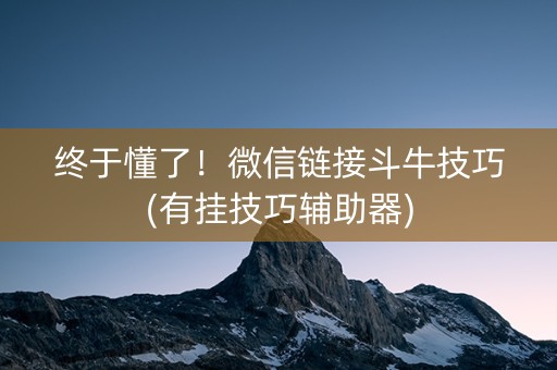 终于懂了！微信链接斗牛技巧(有挂技巧辅助器)