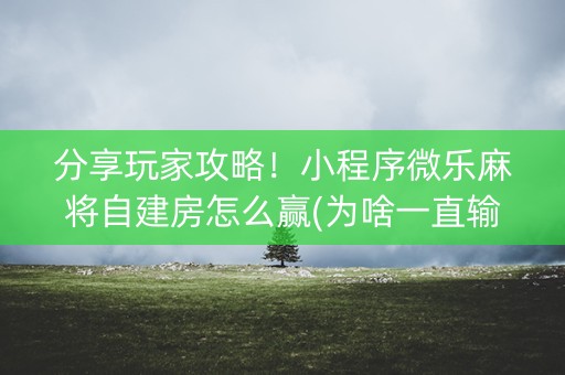 分享玩家攻略！小程序微乐麻将自建房怎么赢(为啥一直输)