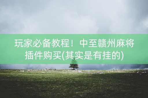 玩家必备教程！中至赣州麻将插件购买(其实是有挂的)