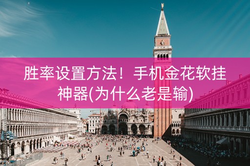 胜率设置方法！手机金花软挂神器(为什么老是输)