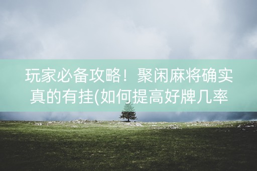 玩家必备攻略！聚闲麻将确实真的有挂(如何提高好牌几率)