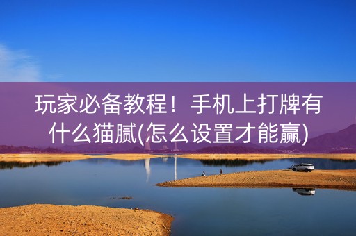 玩家必备教程！手机上打牌有什么猫腻(怎么设置才能赢)