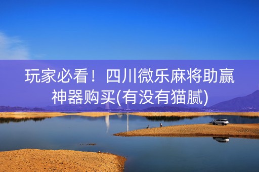 玩家必看！四川微乐麻将助赢神器购买(有没有猫腻)