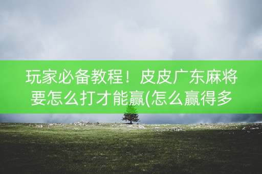 玩家必备教程！皮皮广东麻将要怎么打才能赢(怎么赢得多)