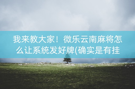 我来教大家！微乐云南麻将怎么让系统发好牌(确实是有挂)