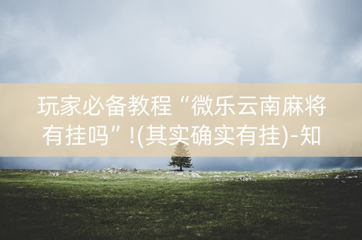 玩家必备教程“微乐云南麻将有挂吗”!(其实确实有挂)-知乎
