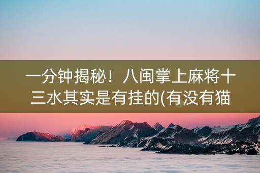 一分钟揭秘！八闽掌上麻将十三水其实是有挂的(有没有猫腻)