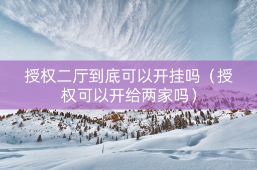 授权二厅到底可以开挂吗（授权可以开给两家吗）