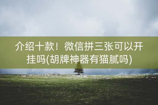 介绍十款！微信拼三张可以开挂吗(胡牌神器有猫腻吗)