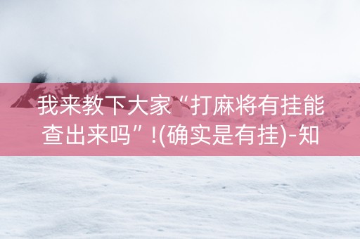 我来教下大家“打麻将有挂能查出来吗”!(确实是有挂)-知乎