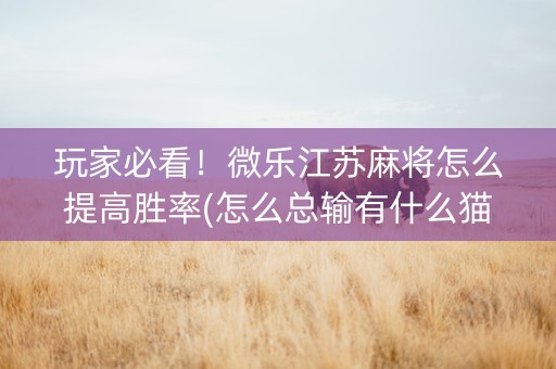 玩家必看！微乐江苏麻将怎么提高胜率(怎么总输有什么猫腻)