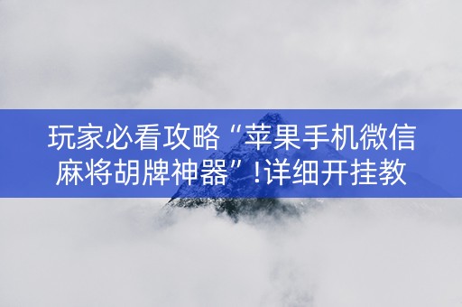 玩家必看攻略“苹果手机微信麻将胡牌神器”!详细开挂教程-知乎