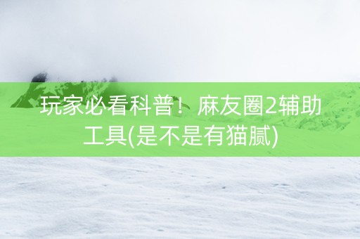 玩家必看科普！麻友圈2辅助工具(是不是有猫腻)