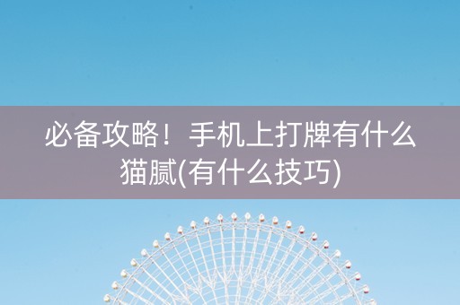 必备攻略！手机上打牌有什么猫腻(有什么技巧)