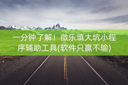 一分钟了解！微乐填大坑小程序辅助工具(软件只赢不输)