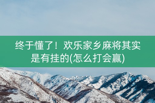 终于懂了！欢乐家乡麻将其实是有挂的(怎么打会赢)