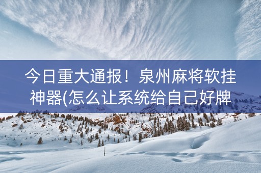 今日重大通报！泉州麻将软挂神器(怎么让系统给自己好牌)