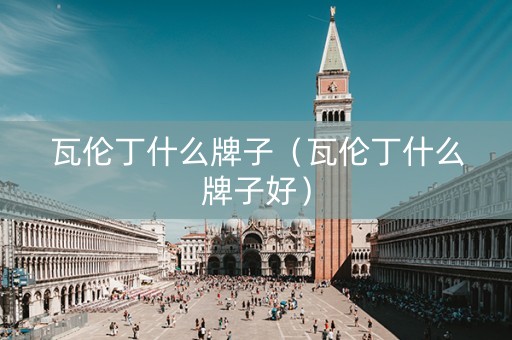 瓦伦丁什么牌子（瓦伦丁什么牌子好）