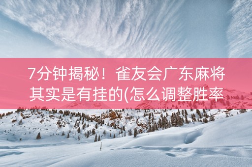 7分钟揭秘！雀友会广东麻将其实是有挂的(怎么调整胜率)