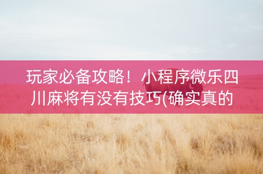 玩家必备攻略！小程序微乐四川麻将有没有技巧(确实真的有挂)