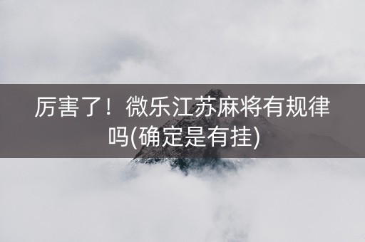 厉害了！微乐江苏麻将有规律吗(确定是有挂)