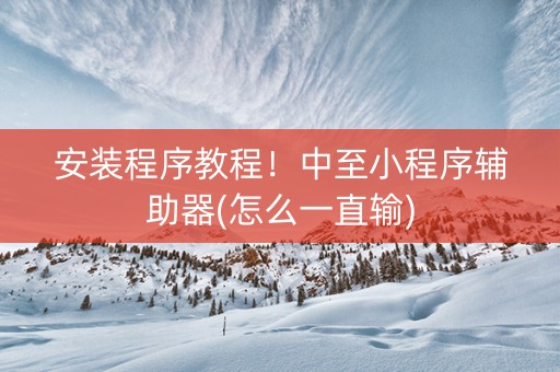 安装程序教程！中至小程序辅助器(怎么一直输)