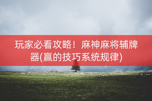 玩家必看攻略！麻神麻将辅牌器(赢的技巧系统规律)