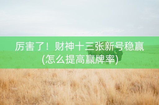 厉害了！财神十三张新号稳赢(怎么提高赢牌率)