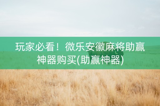 玩家必看！微乐安徽麻将助赢神器购买(助赢神器)