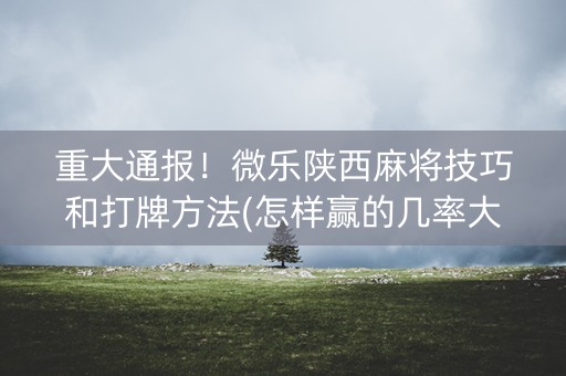 重大通报！微乐陕西麻将技巧和打牌方法(怎样赢的几率大)