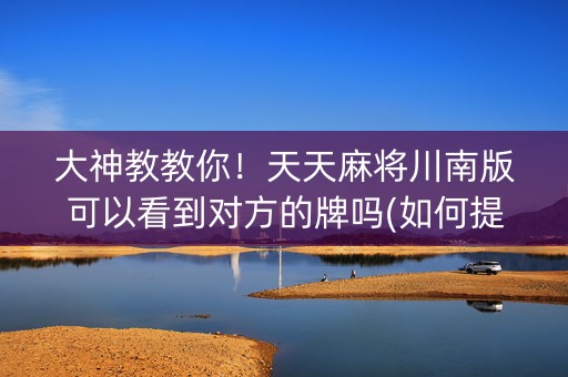 大神教教你！天天麻将川南版可以看到对方的牌吗(如何提高胡牌率)