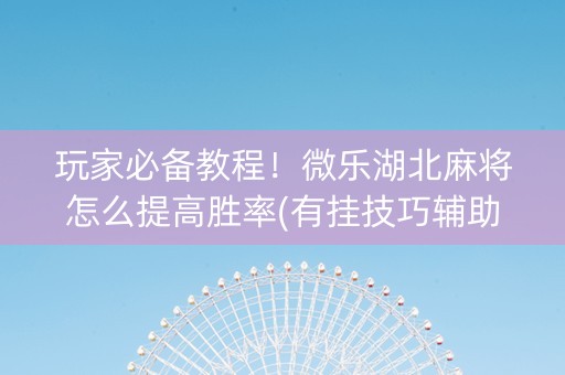 玩家必备教程！微乐湖北麻将怎么提高胜率(有挂技巧辅助器)