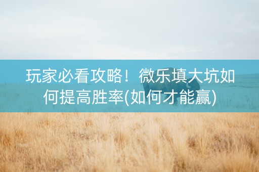 玩家必看攻略！微乐填大坑如何提高胜率(如何才能赢)