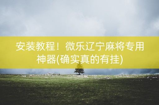安装教程！微乐辽宁麻将专用神器(确实真的有挂)