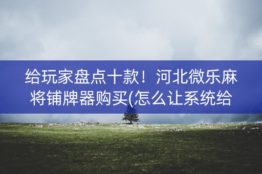 给玩家盘点十款！河北微乐麻将铺牌器购买(怎么让系统给自己好牌)